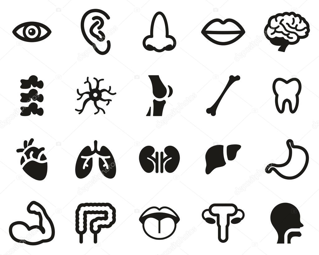 Human Anatomy Or Human Body Parts Icons Black & White Set Big