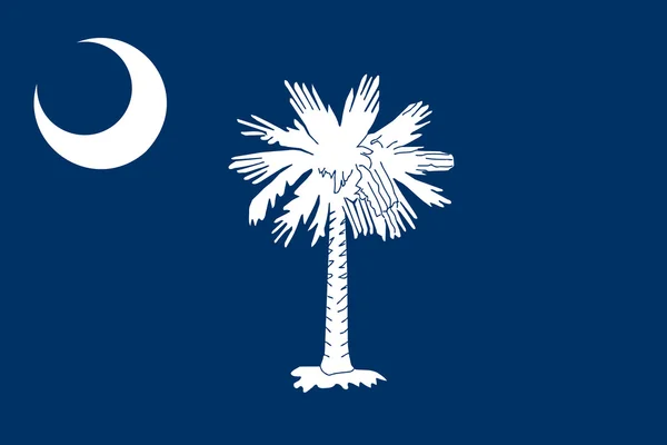 Bandera de South Carolina tamaño correcto, color, vector — Vector de stock