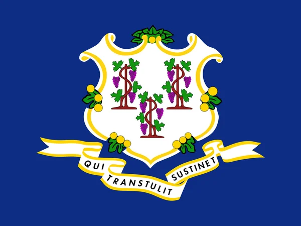 Bandeira de Connecticut ilustração dimensão correta — Fotografia de Stock
