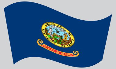 Gri arka plan üzerinde Idaho sallayarak bayrak