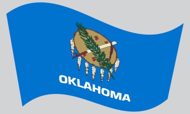 Oklahoma gri arka plan üzerinde sallayarak bayrak