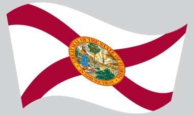 Florida gri arka plan üzerinde sallayarak bayrak