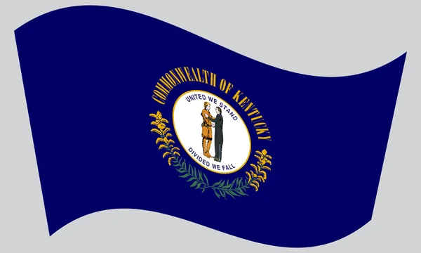 Flag of Kentucky waving on gray background — Stockový vektor
