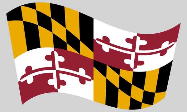 Flag of Maryland waving on gray background — Stock Vector