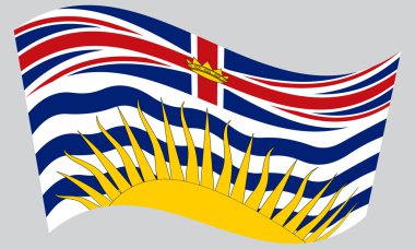 British Columbia üzerinde sallayarak bayrak arka plan gri