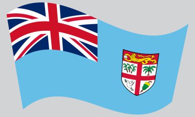 Fiji gri arka plan üzerinde sallayarak bayrak