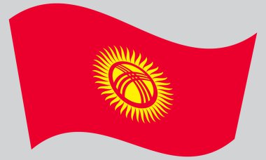 Kırgızistan gri arka plan üzerinde sallayarak bayrak