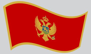 Karadağ gri arka plan üzerinde sallayarak bayrak