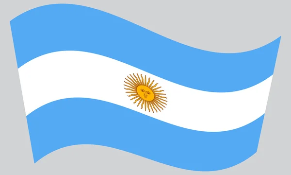 Flagge Argentiniens weht auf grauem Hintergrund — Stockvektor