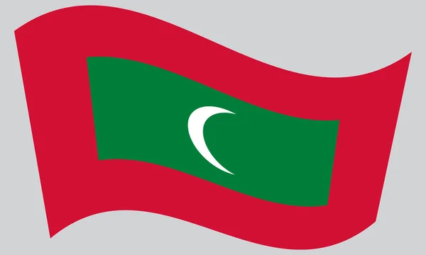 Gri arka plan üzerinde Maldivler sallayarak bayrak — Stok Vektör