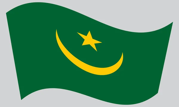 Flag of Mauritania waving on gray background — Stock vektor