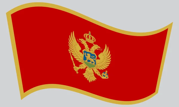 Flag of Montenegro waving on gray background — Stock Vector
