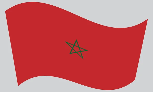 Flagge Marokkos weht auf grauem Hintergrund — Stockvektor