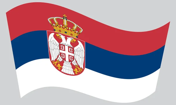Bandeira da Sérvia acenando em fundo cinza —  Vetores de Stock