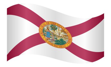 Beyaz arka plan üzerinde Florida sallayarak bayrak