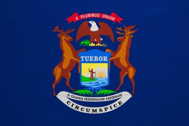 Michigan gerçek bayrağı ayrıntılı kumaş doku