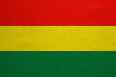 Bolivya gerçek bayrağı ayrıntılı kumaş doku