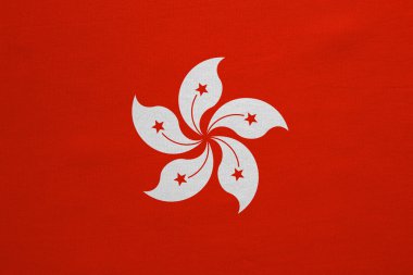 Hong Kong gerçek bayrağı ayrıntılı kumaş doku