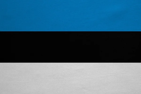 Flag of Estonia real detailed fabric texture — Stock fotografie