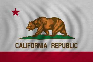 California dalgalı ayrıntılı kumaş doku bayrağı