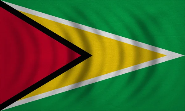 Vlag van Guyana golvende, echte gedetailleerde weefsel textuur — Stockfoto