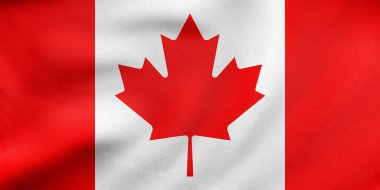 Kanada sallayarak, gerçek kumaş doku bayrağı