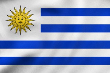 Uruguay sallayarak, gerçek kumaş doku bayrağı