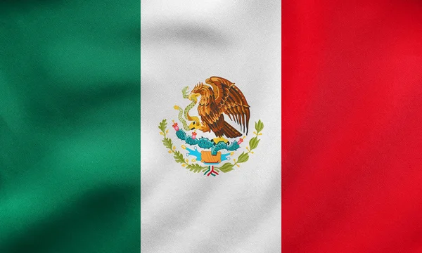 Meksika sallayarak, gerçek kumaş doku bayrağı — Stok fotoğraf