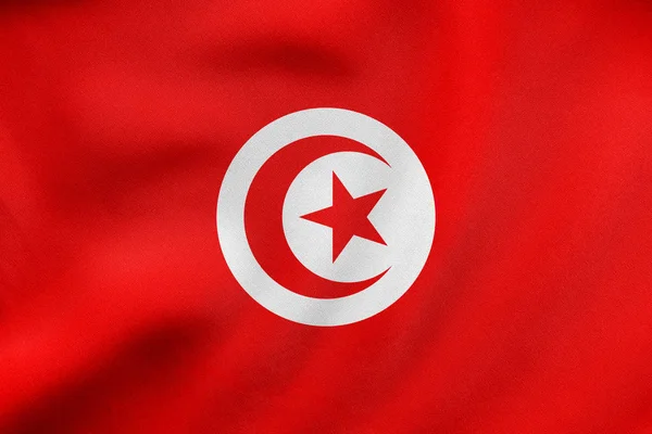 Bandiera della Tunisia sventola, tessitura in tessuto reale — Foto Stock