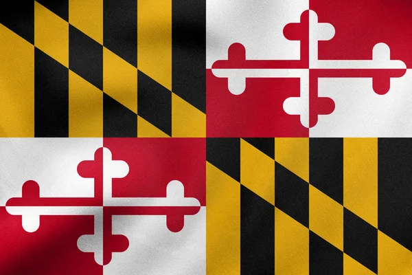 Maryland sallayarak, gerçek kumaş doku bayrağı