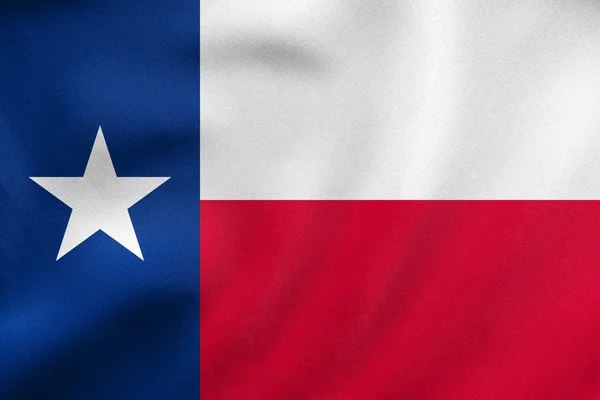 Flagge von Texas wehen, echte Textur — Stockfoto