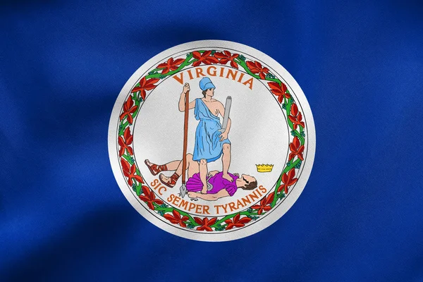 Bandeira da Virgínia acenando, textura de tecido real — Fotografia de Stock