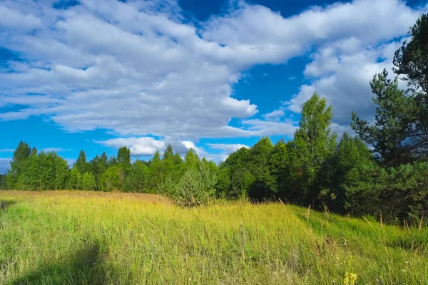 Paisaje natural de verano escénico. Árboles, hierba, cielo —  Fotos de Stock