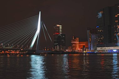 Rotterdam manzarası ile Erasmus Köprüsü, Hollanda