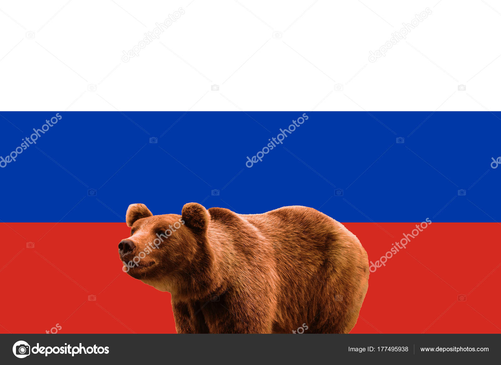 Фото Медведь С Флагом