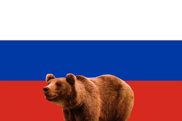 Vlajka Ruska a ruského medvěda, vlastenecké symboly — Stock fotografie
