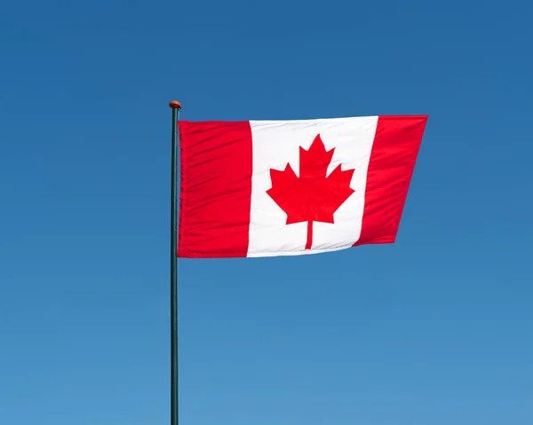 Bandera de Canadá ondeando con viento, fondo cielo azul —  Fotos de Stock