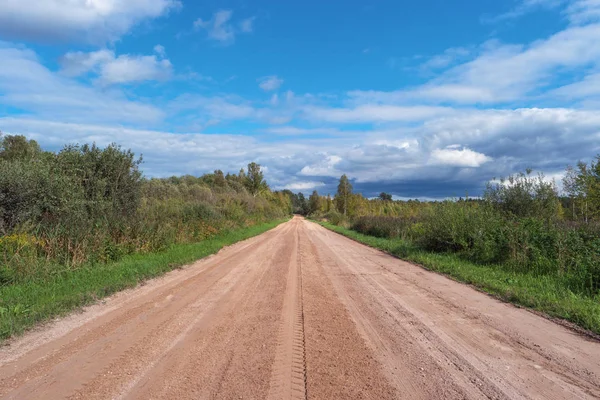 Strada sterrata panoramica nella foresta. Strada rurale di campagna — Foto Stock