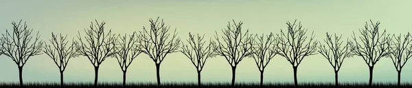 Vecteur. Arbre stylisé, Silhouettes d'arbres, texture sans couture w — Image vectorielle