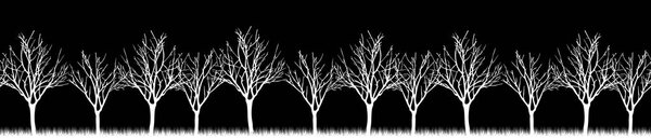 Vector. Stylized tree, Silhouettes of trees , seamless texture w