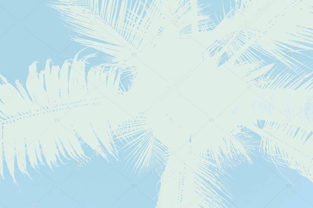 Palm trees on a blue background.