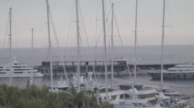 Monte Carlo 4k limanda
