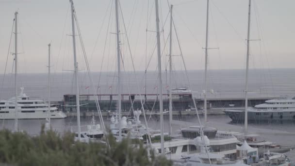 Puerto en Monte Carlo 4K — Vídeos de Stock