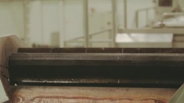 Sanayi suyu fabrikası. Taze meyve konveyör geçen