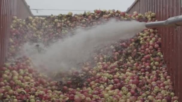 Industriële SAP fabriek. Vers fruit passeren de transportband — Stockvideo