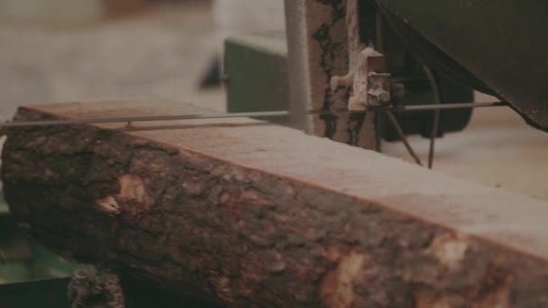 Holzverarbeitende Fabrik, Sägewerk — Stockvideo