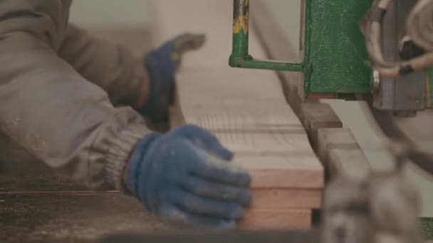 Träbearbetning fabrik, sågverk — Stockvideo
