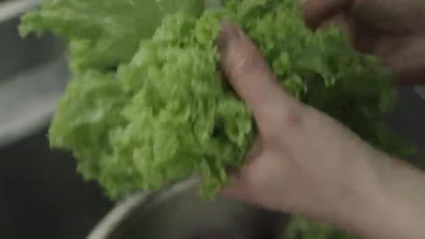 Женщина стирает овощи под текущей водой — стоковое видео