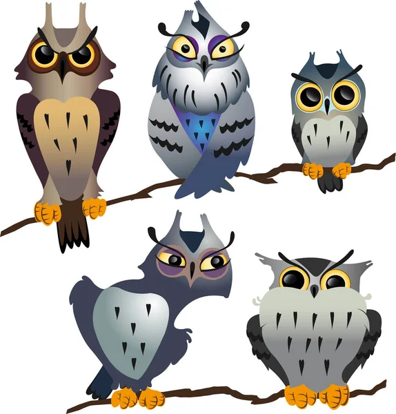 Farklı çizgi film baykuşlar