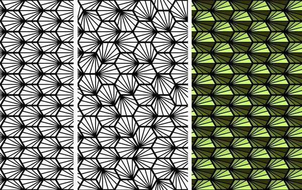 yeşil ve siyah squama